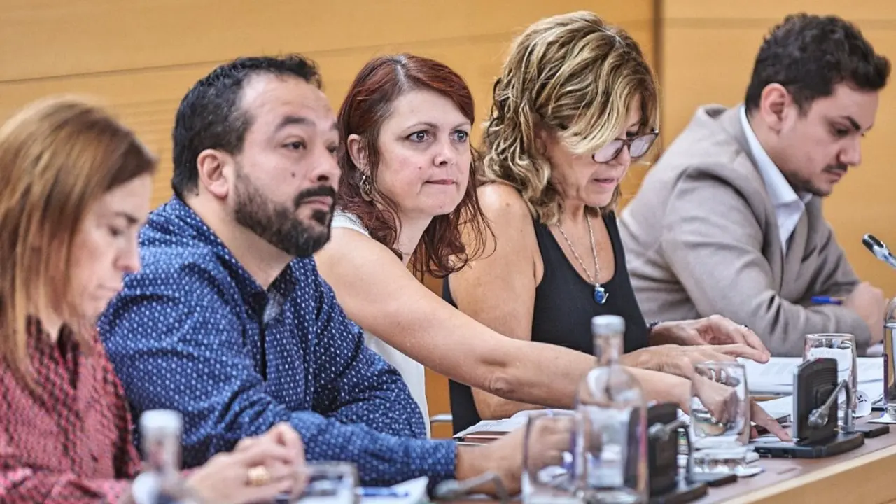 Grupo S&iacute; Podemos Canarias - Pleno Cabildo 311019_Fotor