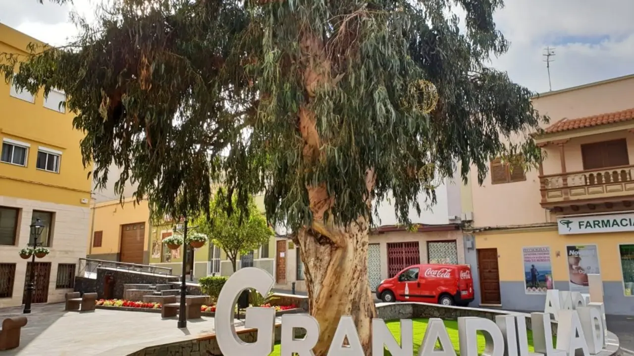 Granadilla Plaza Ram&oacute;n y Cajal_Fotor