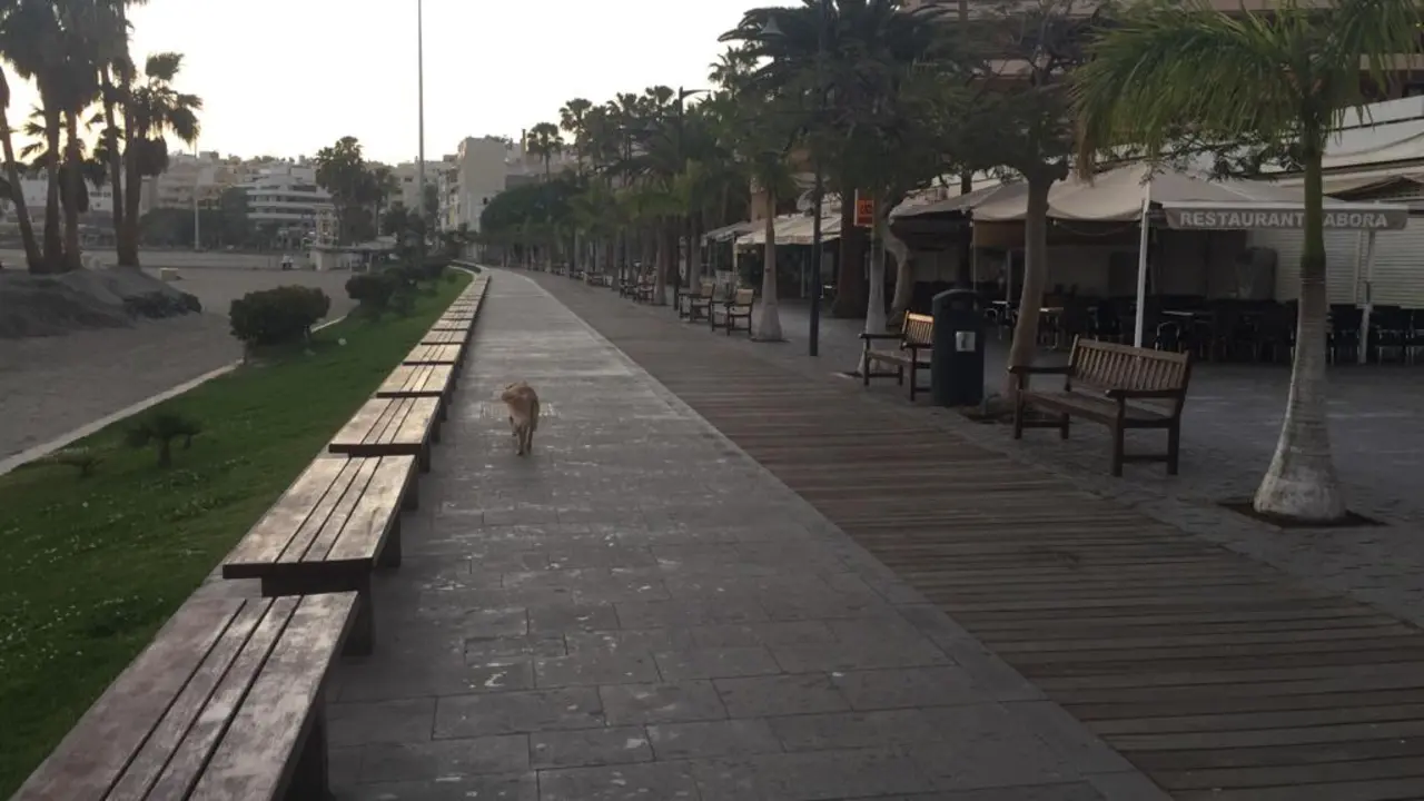 Sol del Sur, Cero turistico en Tenerife, orden ministerial alerta coronavirus (Los Cristianos, Arona, 19 marzo 2020)