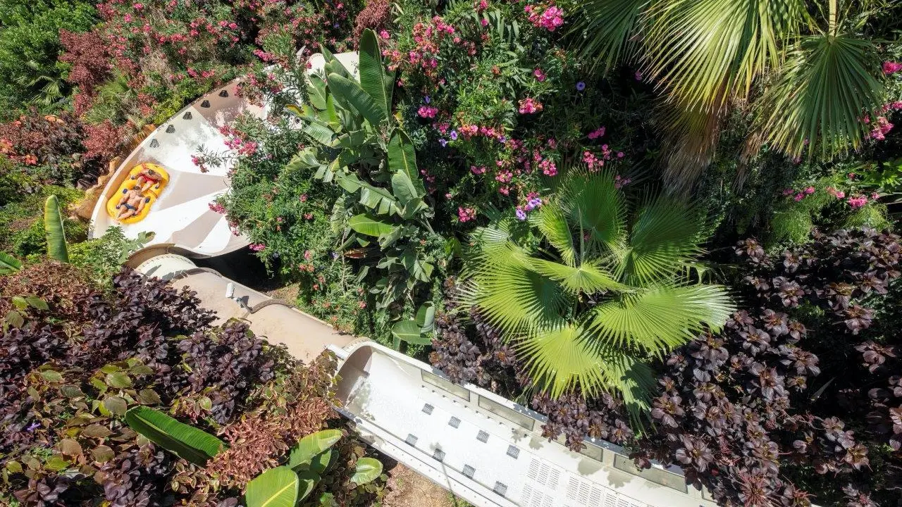 siam-park-llega-a-50-millones-de-personas-con-video-viral-singha (4)_Fotor