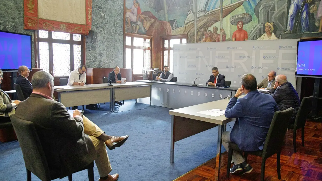 Reuni&oacute;n Cabildo-consejos reguladores ayudas_Fotor