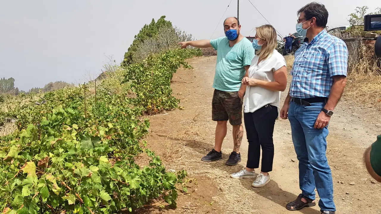 Visita zona cultivo afectada incendio La Palma _Fotor