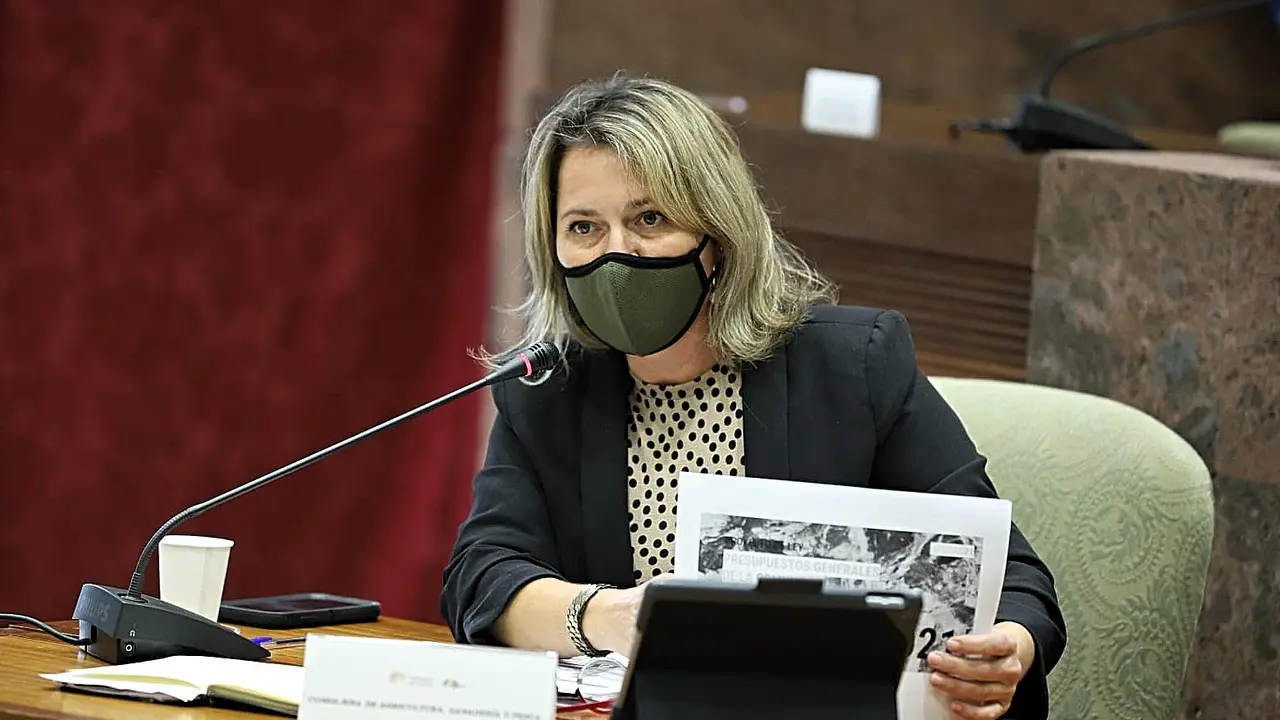 Consejera Alicia Vanoostende en la presentaci&oacute;n de los presupuestos_Fotor