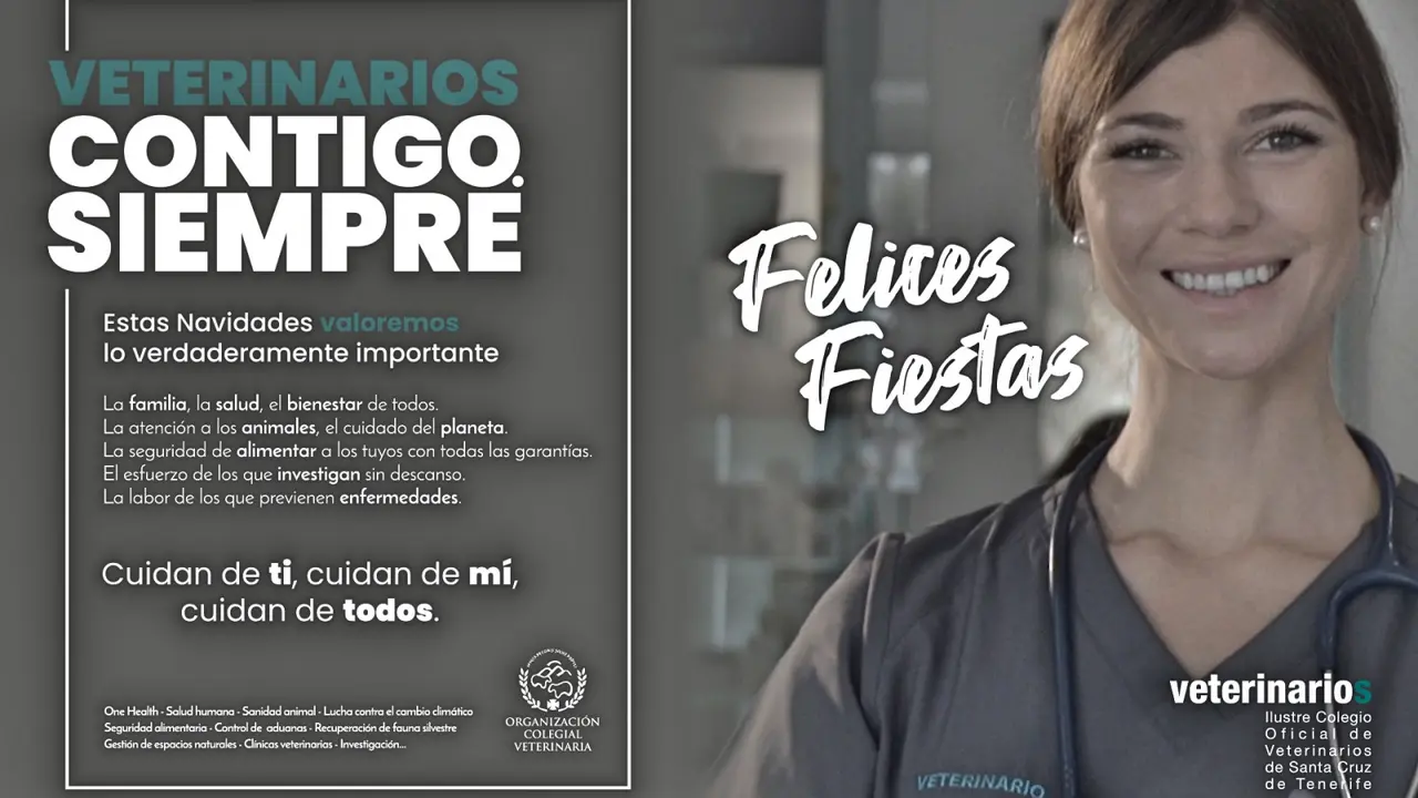 Veterinarios contigo siempre_Fotor
