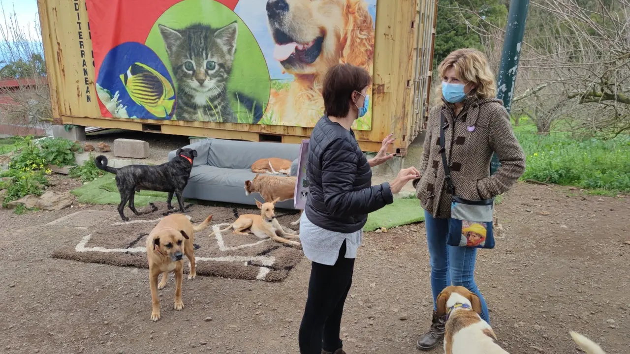 Visita al refugio insular de animales de Ravelo_Fotor