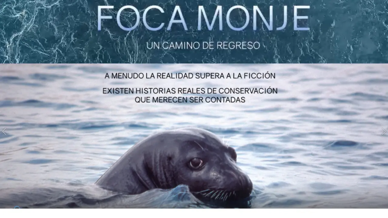 Documental foca monje _Fotor