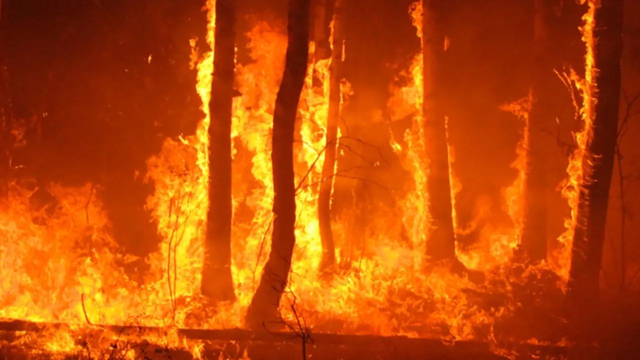 Alerta 1200x600-incendios_Fotor