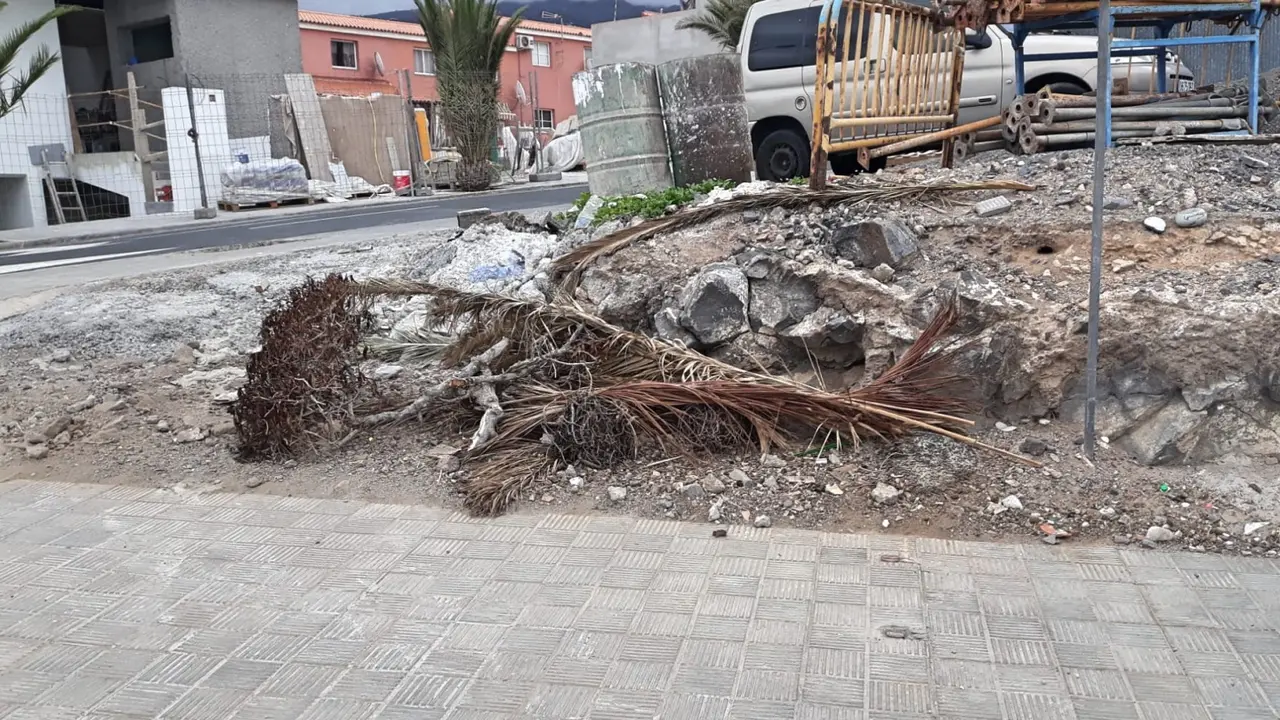 Gu&iacute;a de Isora Limpieza4