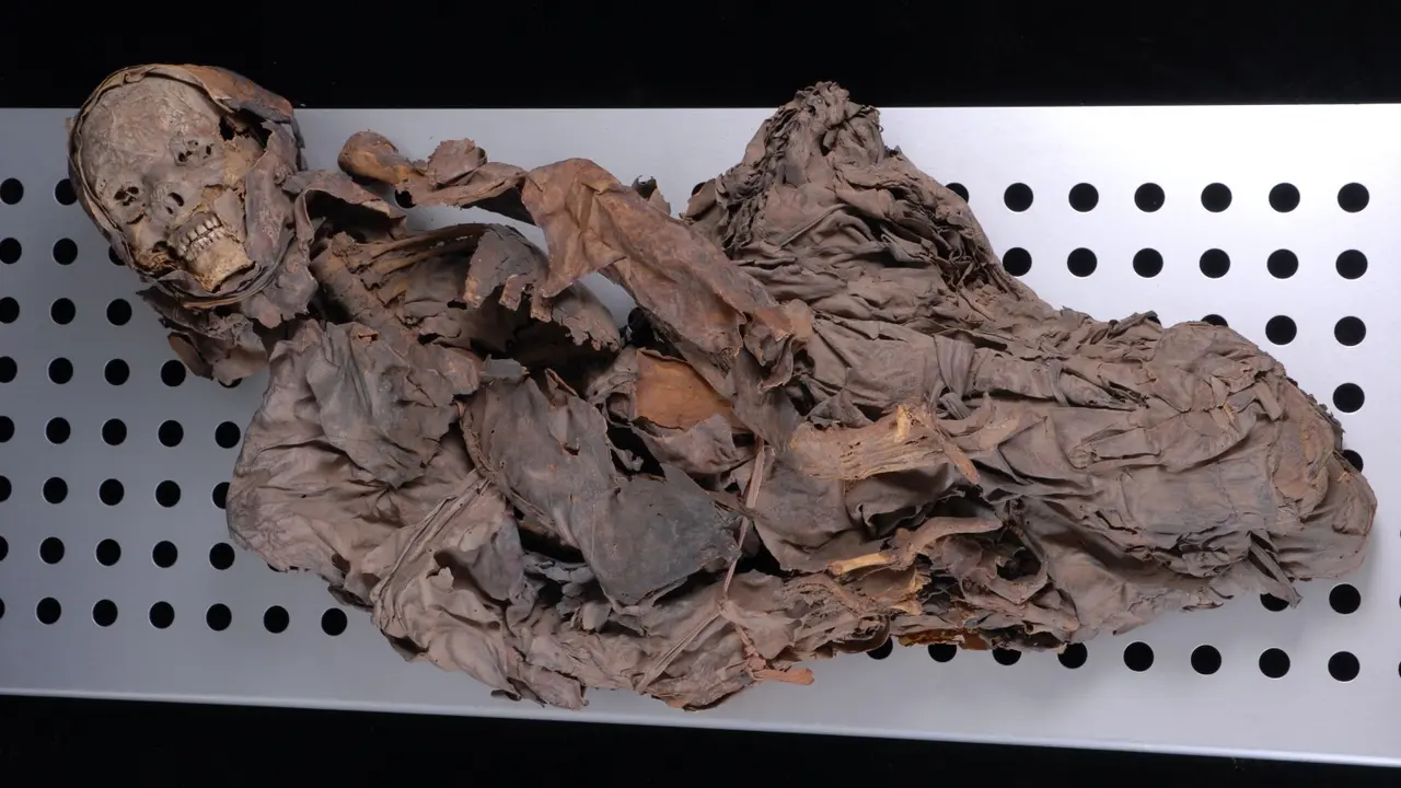 Momia Guanche NEC_2_a