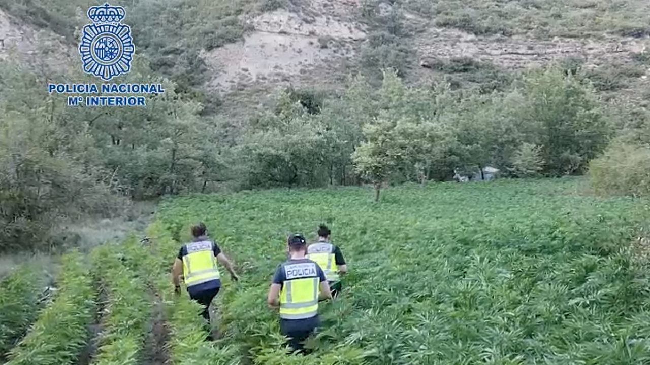 Polic&ntilde;ia maihuana Huesca 2021-09-16 a las 11