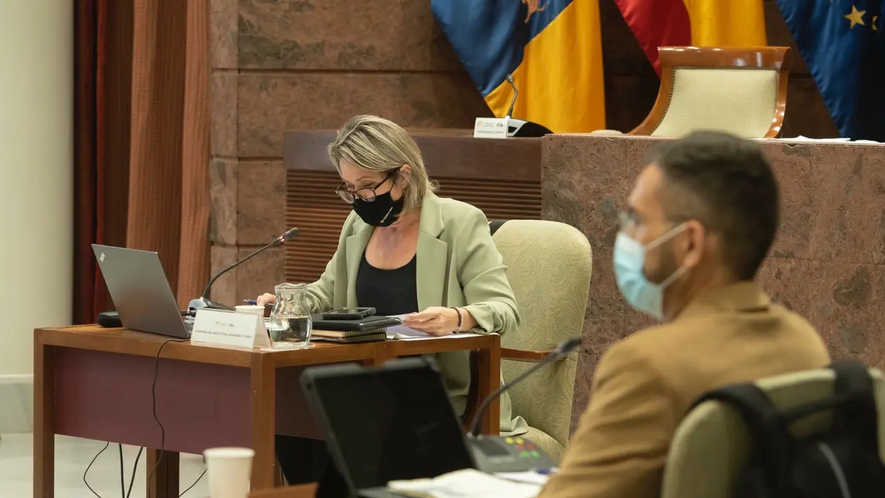 Alicia Vanoostende en comisi&oacute;n parlamentaria(1)