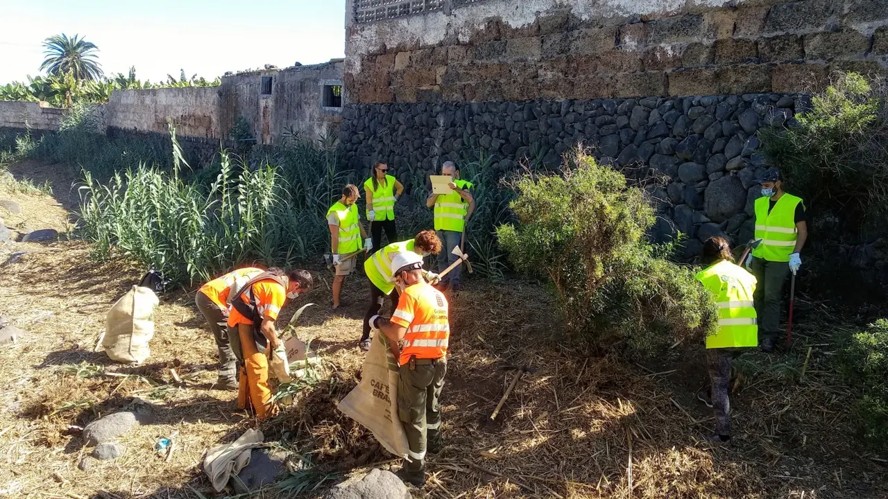 Transici&oacute;n Ecol&oacute;gica Jornada ca&ntilde;aberales 1(1)
