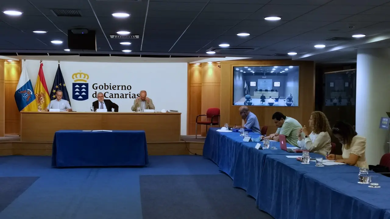 Pleno del CES(1)