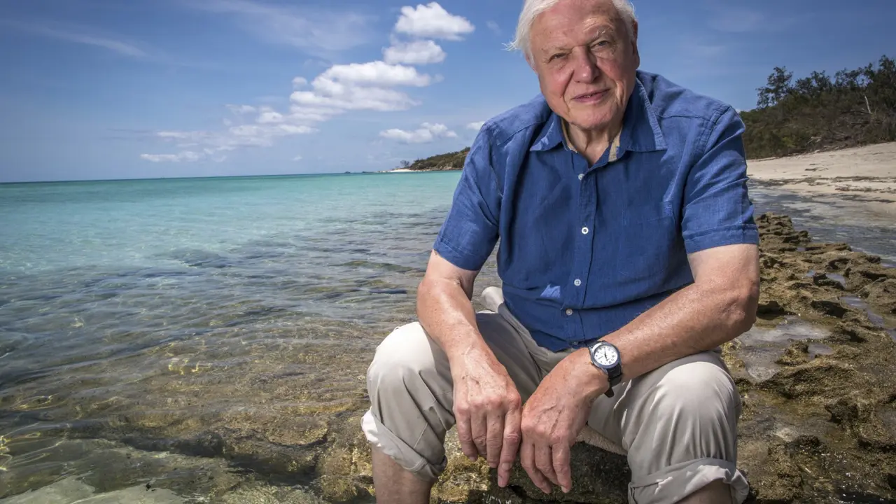David Attenborough