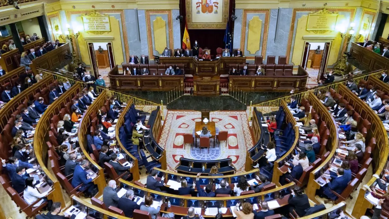 Psoe Imagen del Congreso de los Diputados(1)