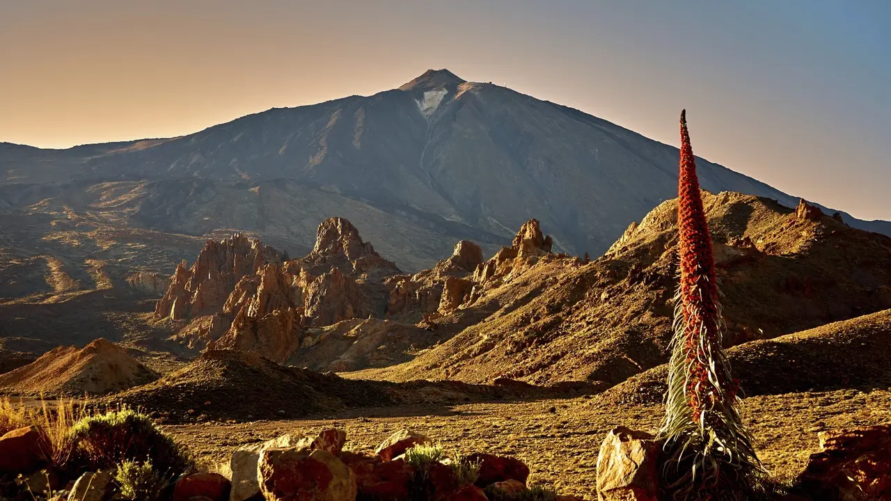 Teide
