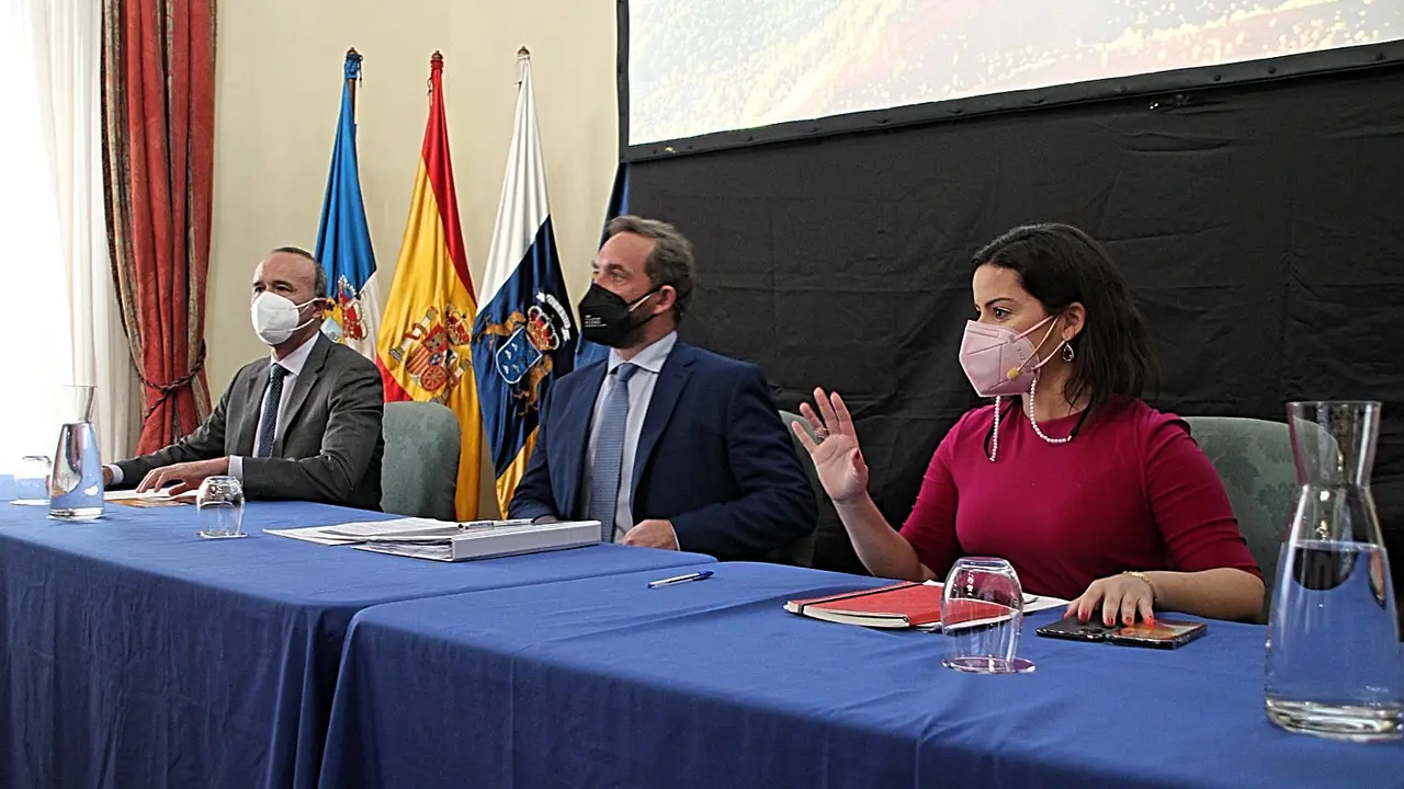 plan renace la palma