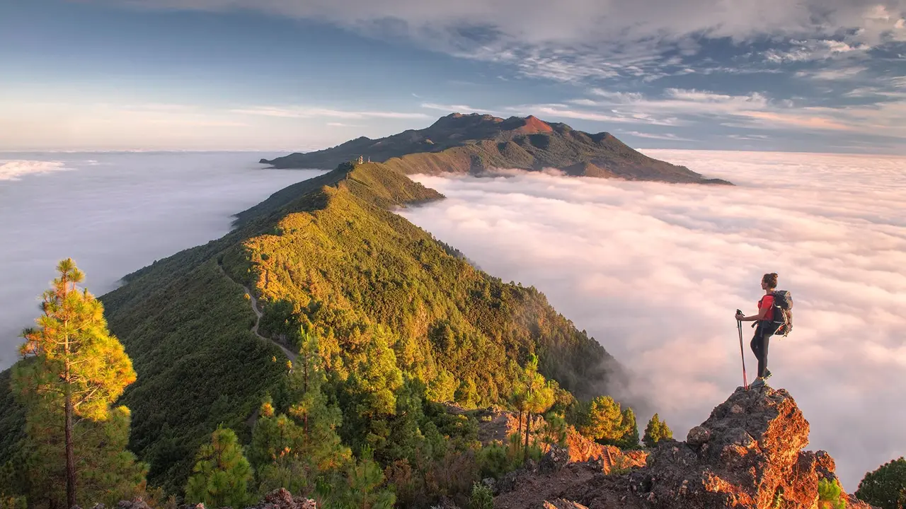 Viaje a La Palma_Fotor