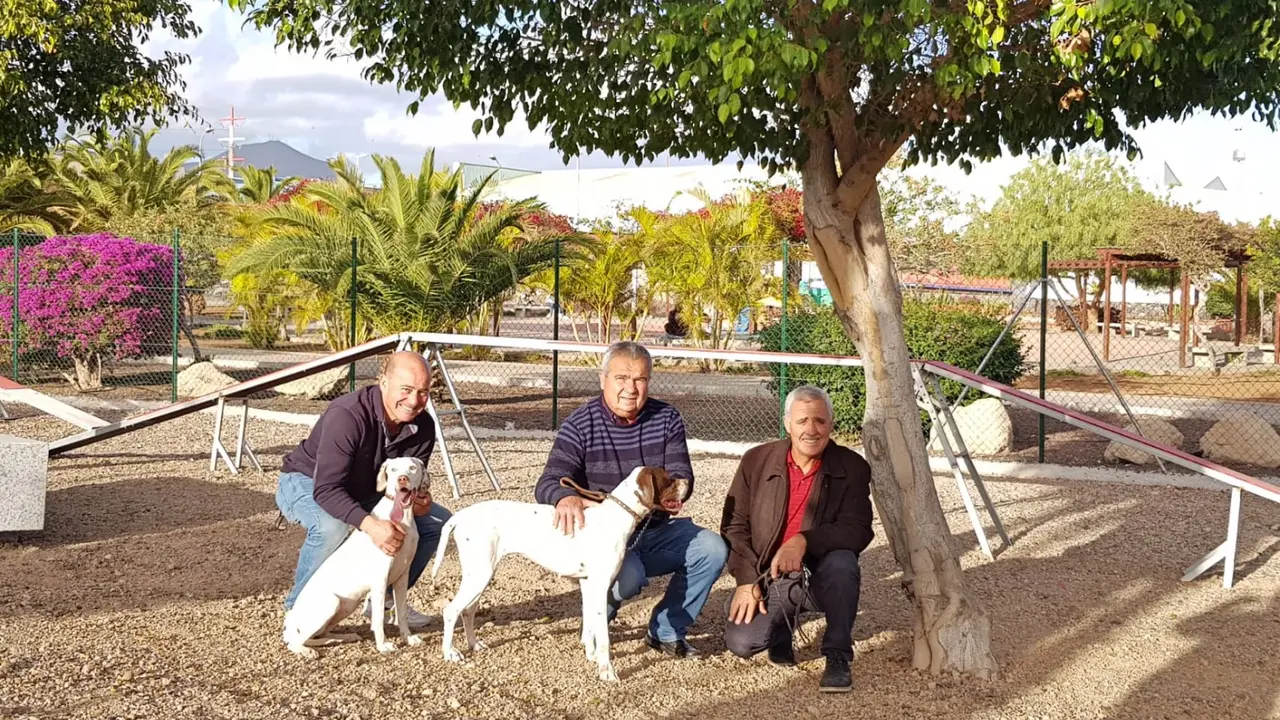 Parque canino San Miguel Chafiras 35_Fotor