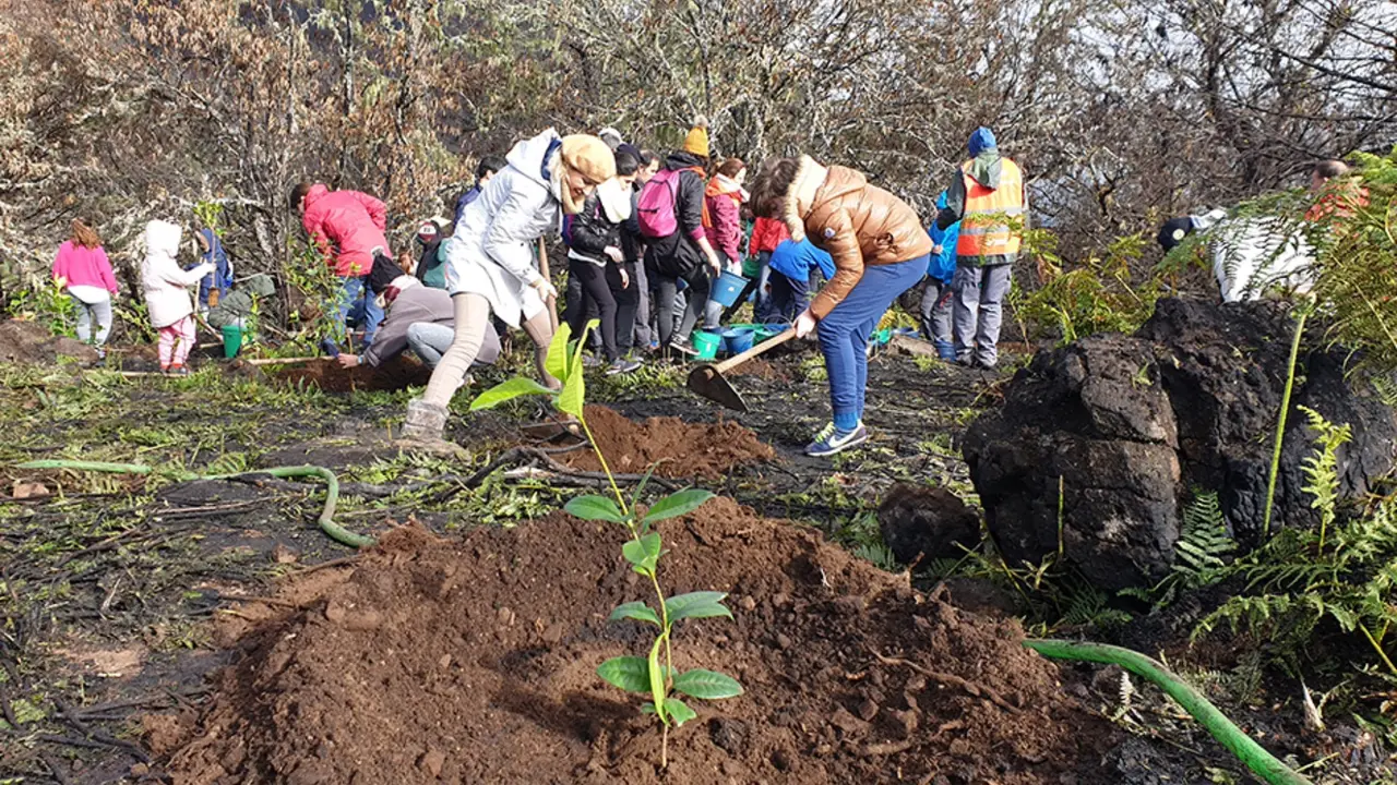 Fundacion Foresta_3_Fotor
