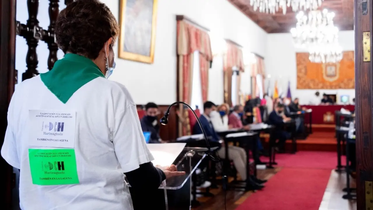 Mary C. Bola&ntilde;os Espinosa. Colectivo Harimaguada