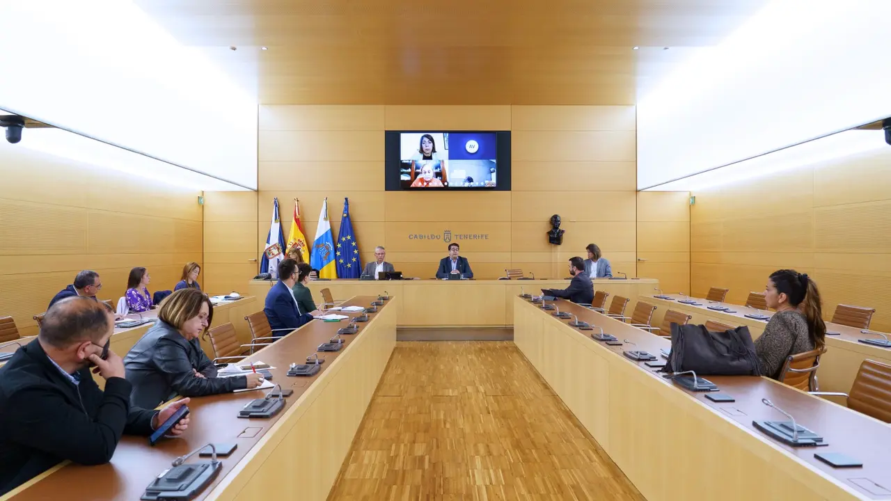 20220422-cabildo_pedro-martin-berta-perez-reuni&oacute;n-telem&aacute;tica-015(1)