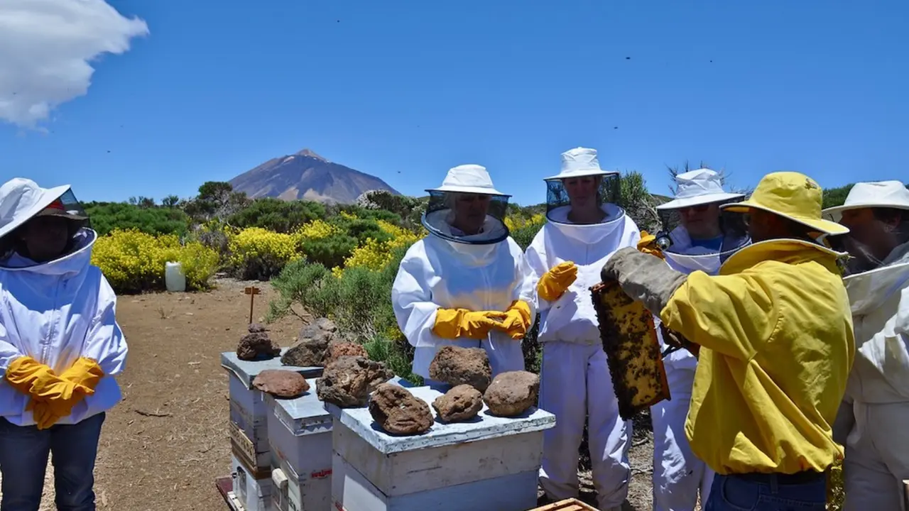 Colmenas apicultura miel teide _3b8fdaca19_b(1)