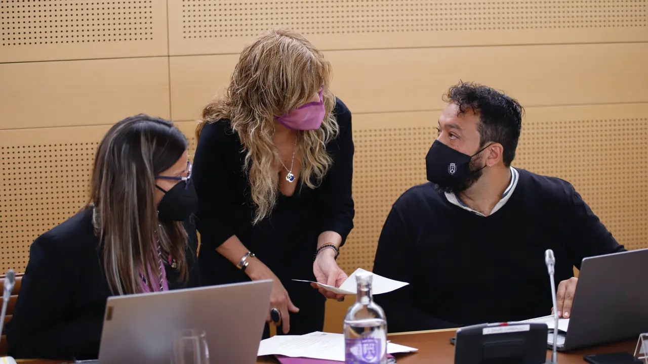 Grupo insular S&iacute; Podemos Canarias en el Cabildo de Tenerife-3(1)