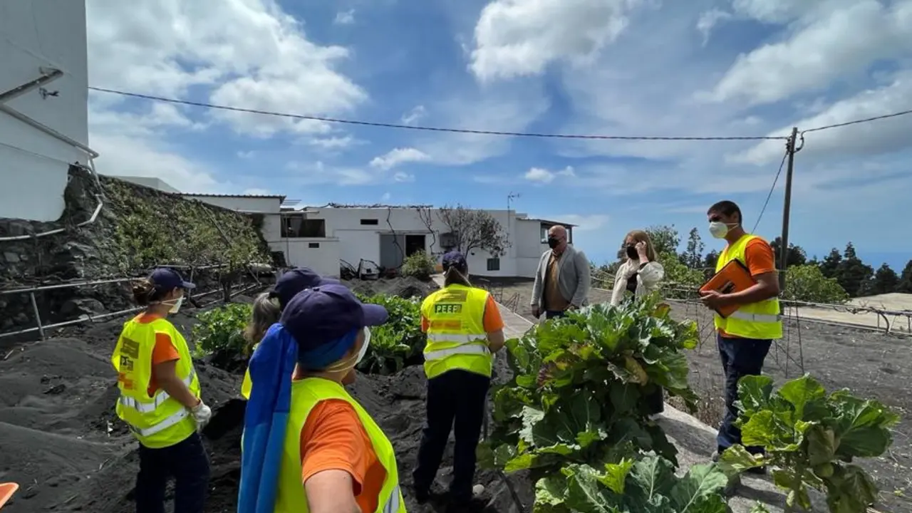 Gesplan La Palma(1)