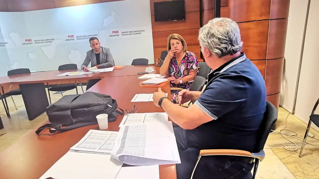 REUNI&Oacute;N INSUCAN PSOE 3