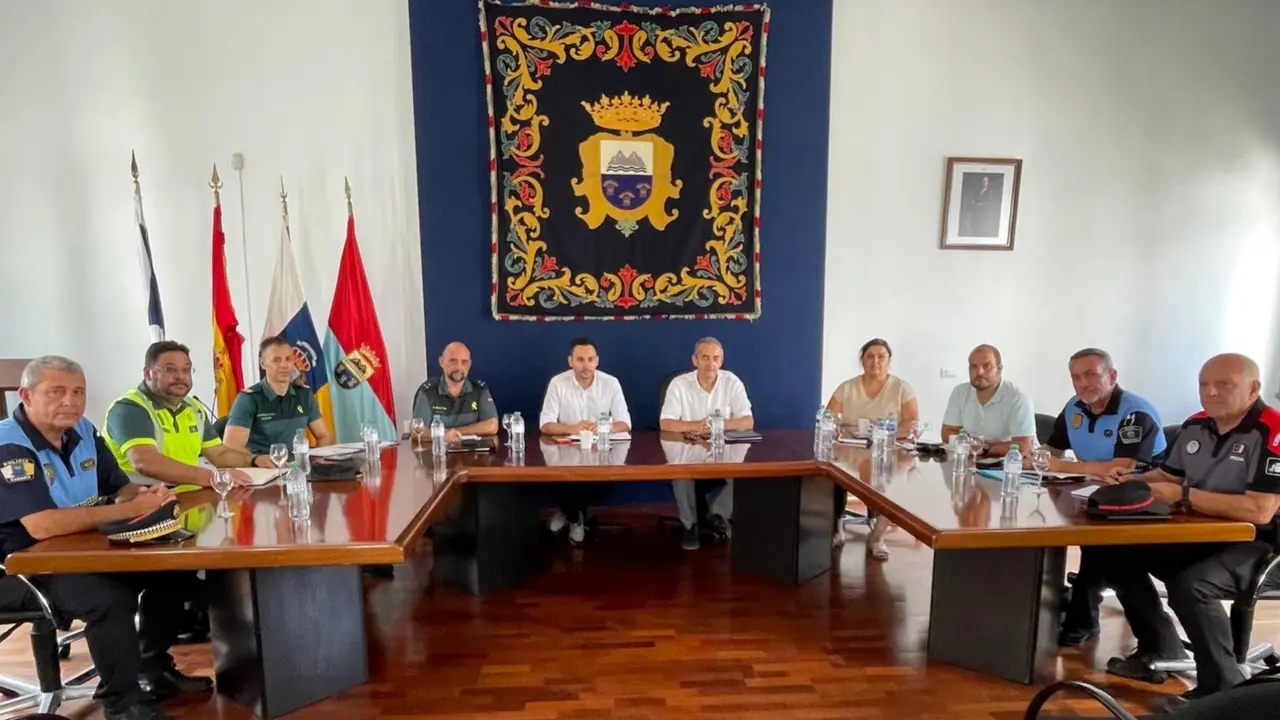 junta seguridad Fasnia