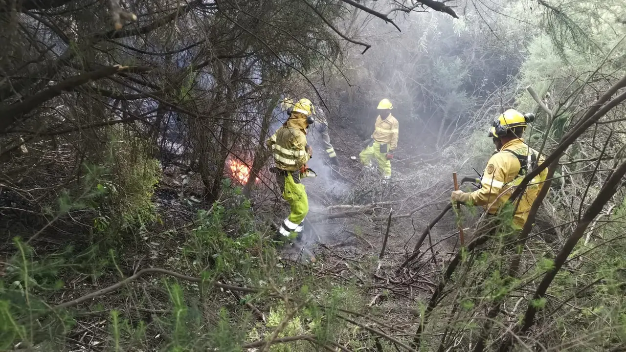 Incendio Brifor-35 3(1)