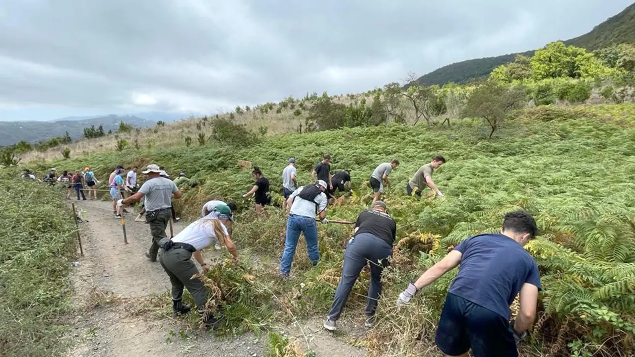 38 marines de la Armada estadounidense colaboran con la Fundaci&oacute;n Foresta en labores de conservaci&oacute;n en la cumbre grancanaria 1(1)