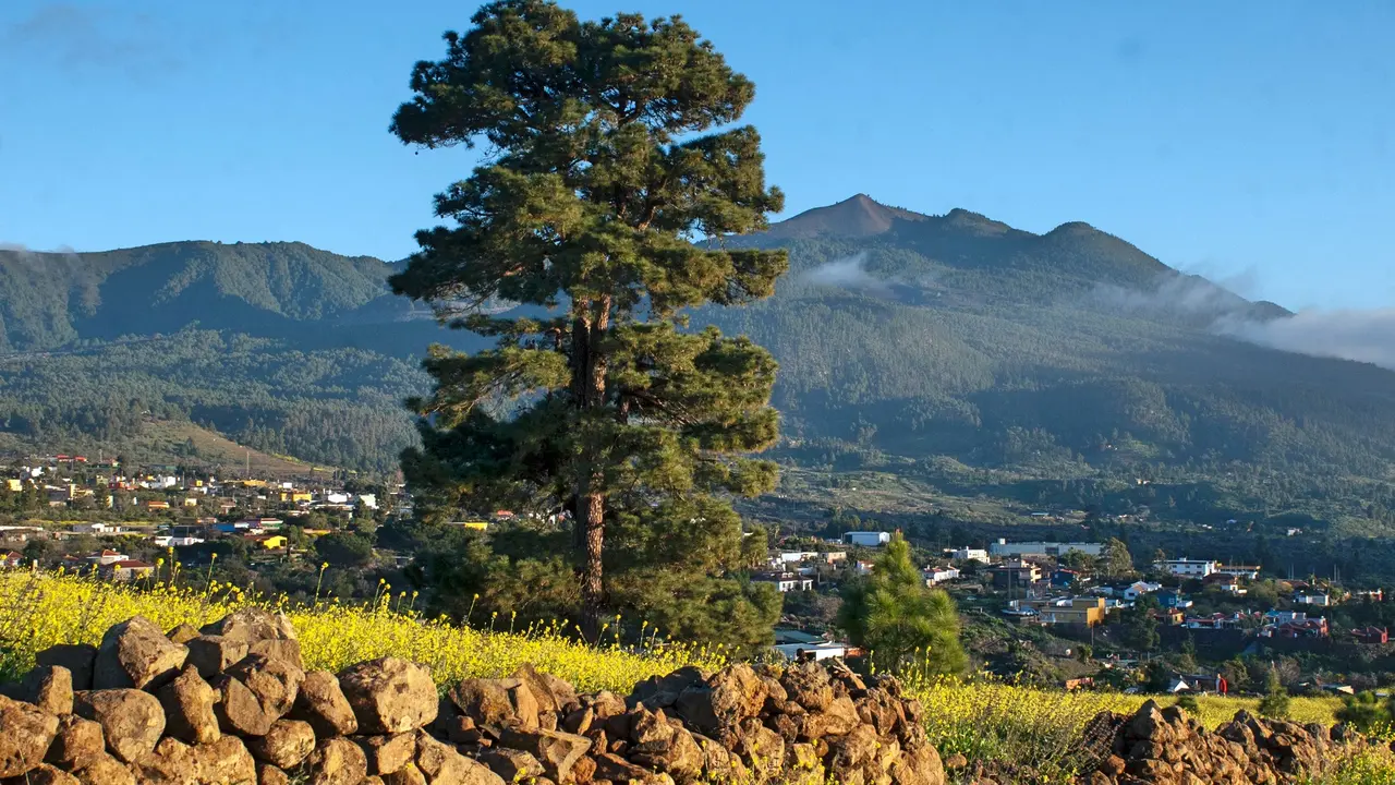 Reserva Biodiversidad 1(1)