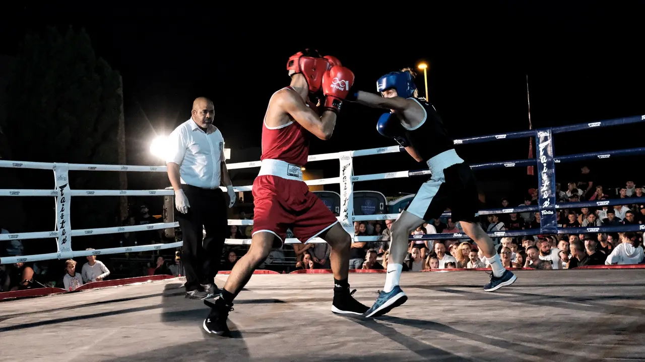 Boxeo Gu&iacute;a Isora 441 (1)(1)