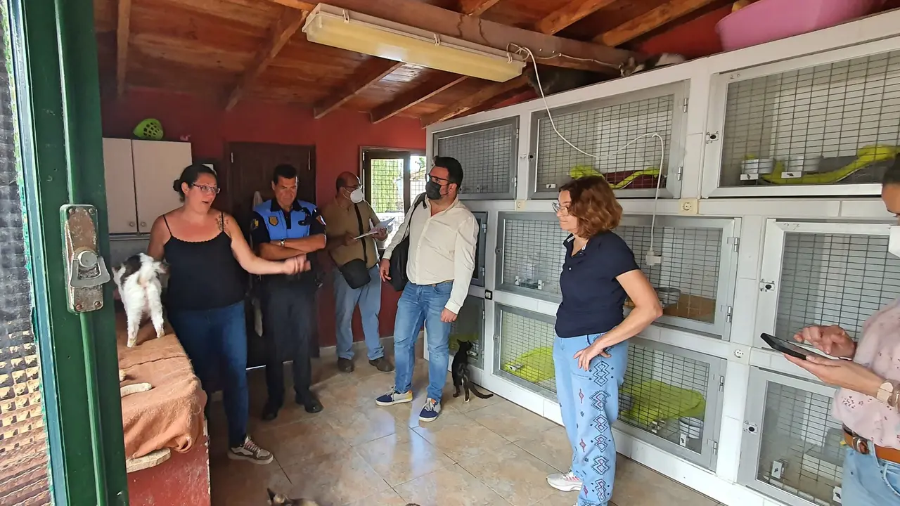 La Rosaleda Gatos VISITA 1-2(1)