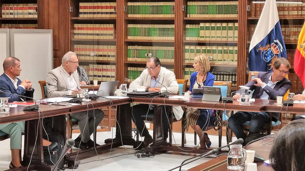 Momento de la intervenci&oacute;n en la Comisi&oacute;n