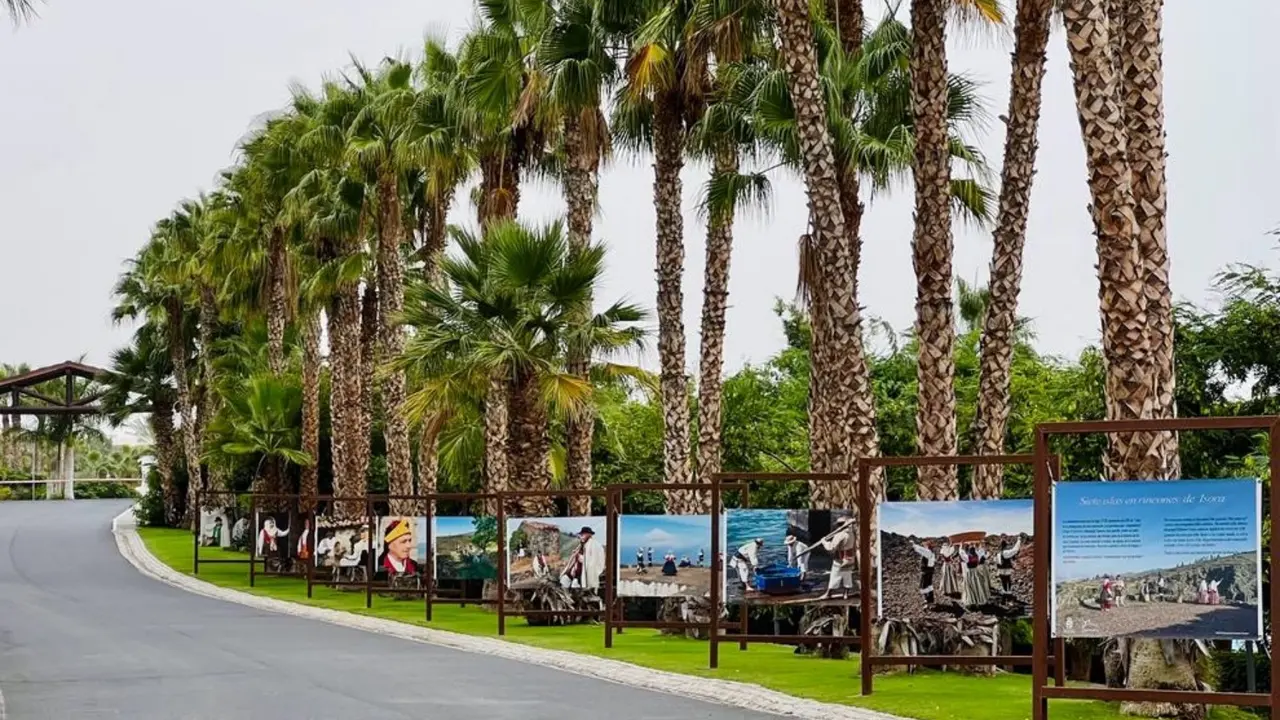 Exposici&oacute;n Abama Resort Tenerife(1)