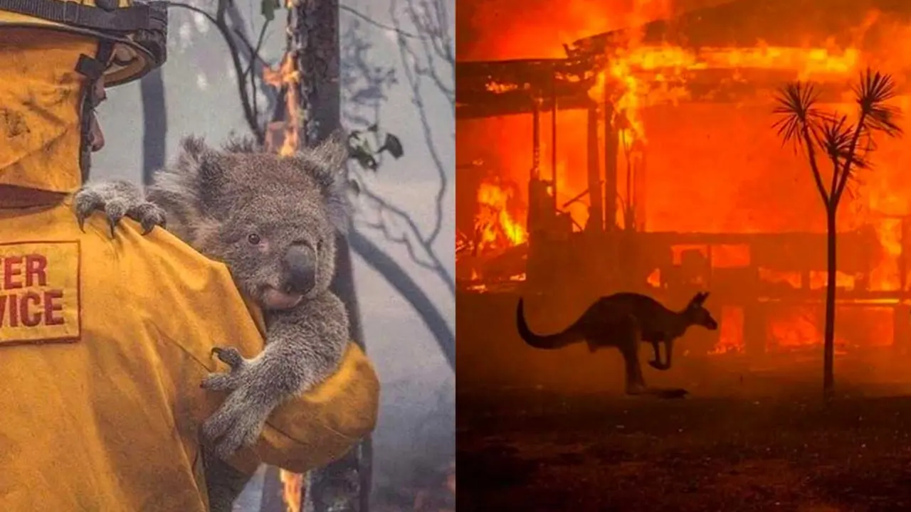 incendios-en-australia(1)