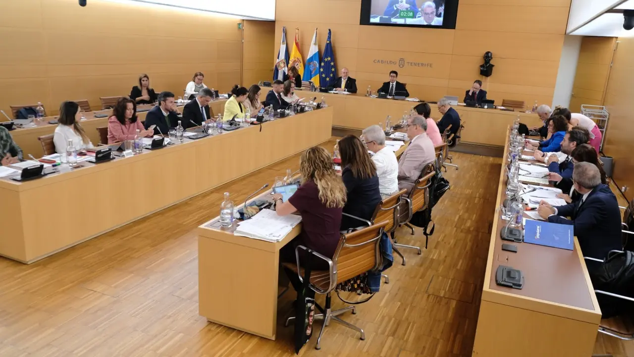 Pleno Cabildo -WA0043(1)
