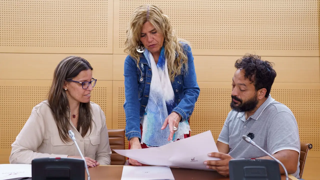 Grupo S&iacute; Podemos Canarias _ Cabildo de Tenerife(1)