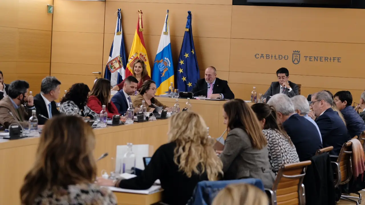 Cabildo 20221216_Pleno_Extraordinario (110) (1)(1)