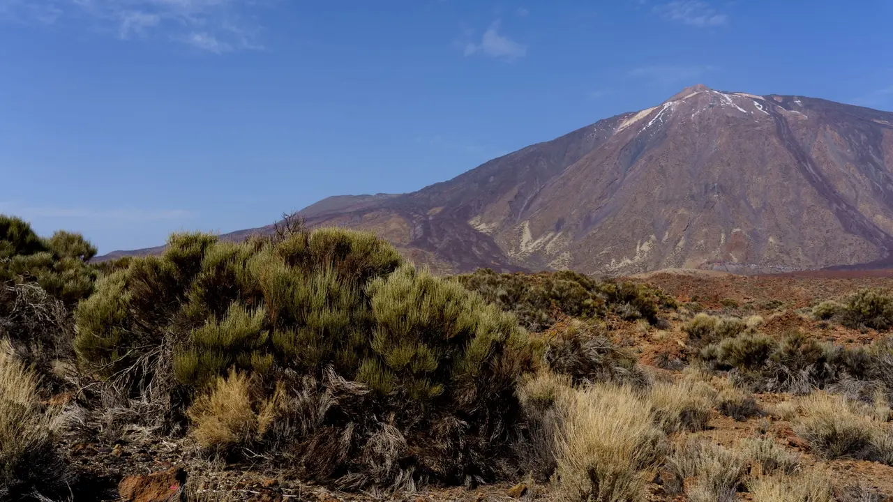 Visita al Parque Nacional del Teide