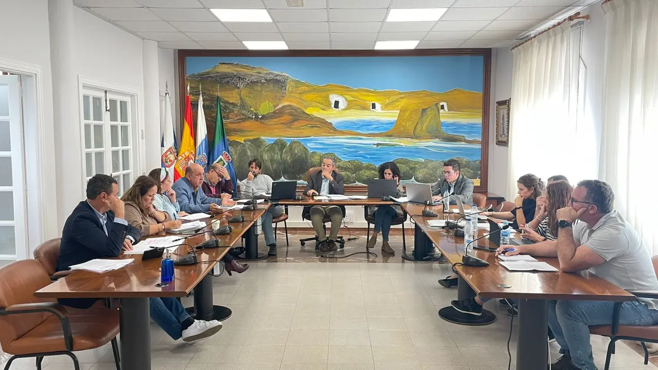 pleno-ordinario-arico(1)