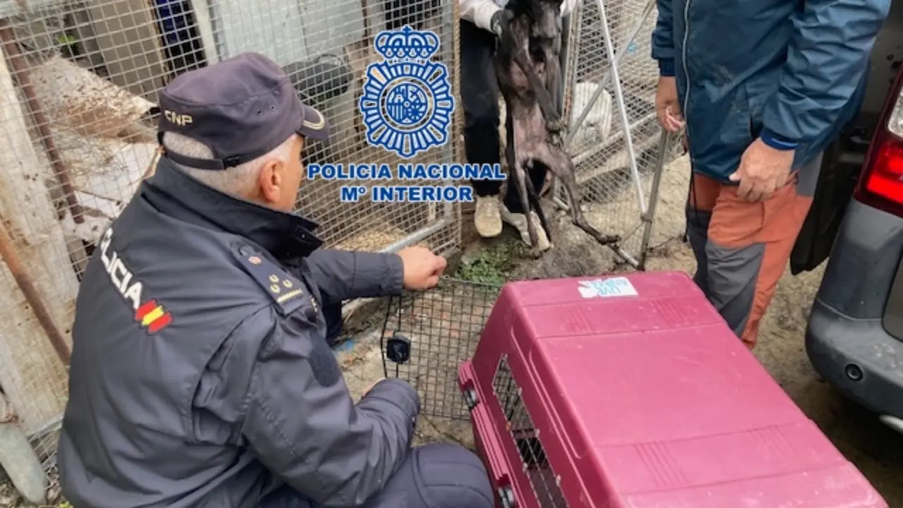 Perros polic&iacute;a IMG_2121(1)