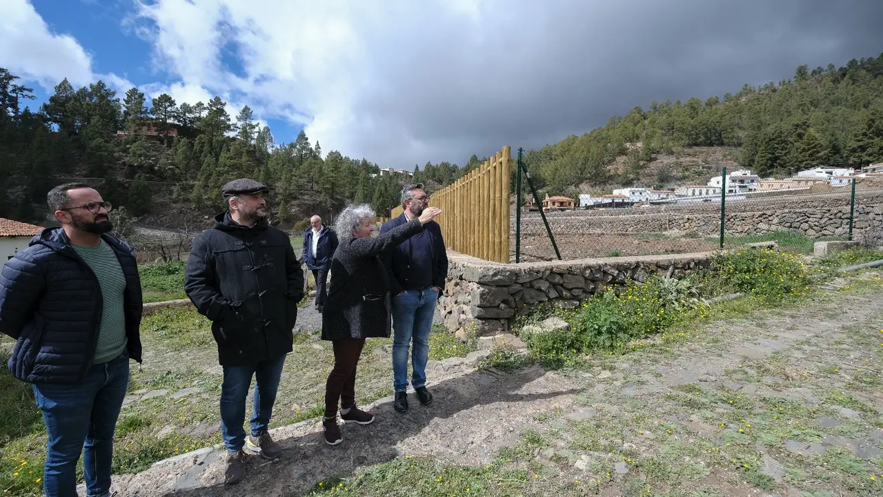 Bosque productivo Vilaflor 3
