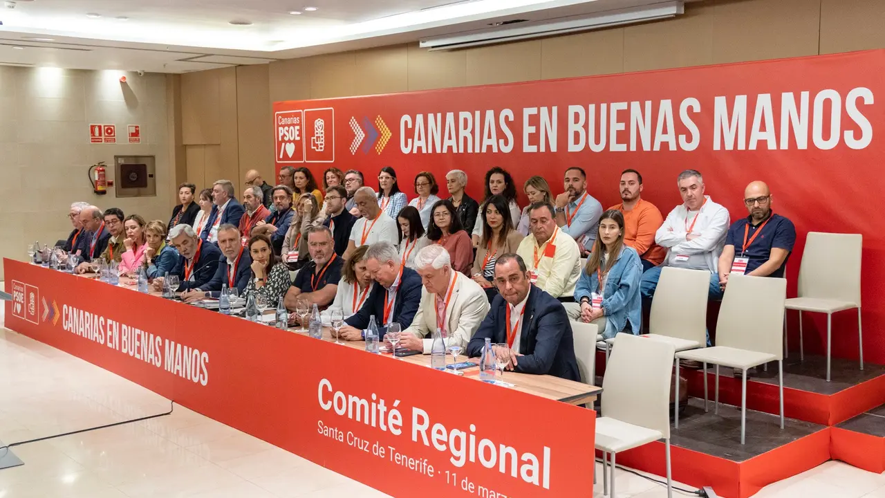 Comit&eacute; Regional PSOE 040(1)
