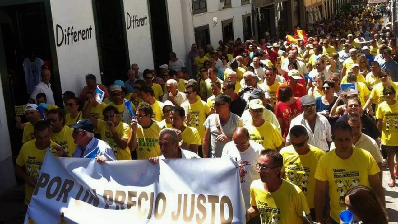 Plataneros La Palma 2023-01-04-at-18