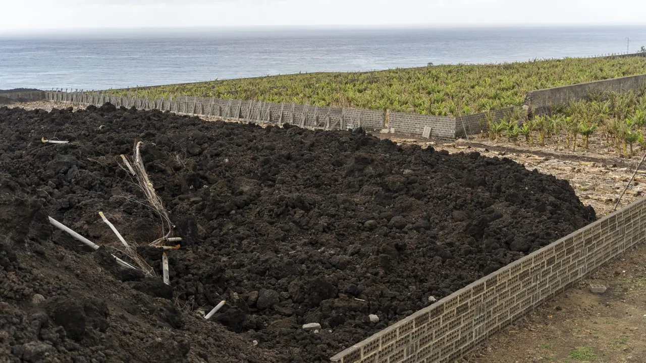 Fincas afectadas por la lava en el Valle de Aridane(1)