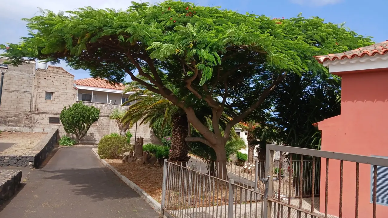 Tacoronte_jardines Guayonje 2(1)